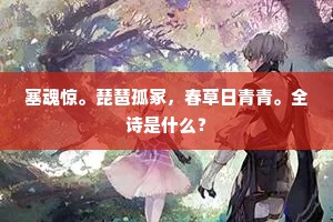 塞魂惊。琵琶孤冢，春草日青青。全诗是什么？