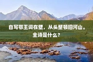 自写鄂王词在壁，从头整顿旧河山。全诗是什么？
