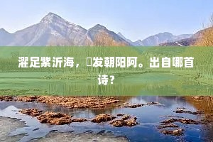 濯足紫沂海，晞发朝阳阿。出自哪首诗？