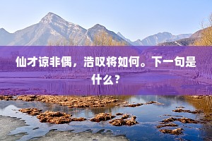 仙才谅非偶，浩叹将如何。下一句是什么？