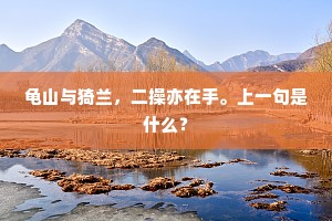 龟山与猗兰，二操亦在手。上一句是什么？