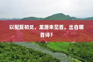 以配复初爻，龙潜未见首。出自哪首诗？