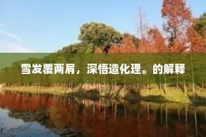 雪发覆两肩，深悟造化理。的解释