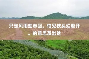 只愁风雨劫春回，怕见枝头烂熳开。的意思及出处