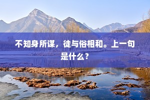 不知身所谋，徒与俗相和。上一句是什么？