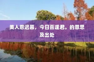 美人怨迟暮，今日喜逢君。的意思及出处