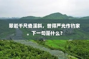 翠岩千尺倚溪斜，曾得严光作钓家。下一句是什么？