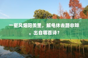 一壑风烟阳羡里，解龟休去路非赊。出自哪首诗？