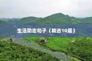 生活励志句子（精选10篇）