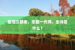 慨惜三朝老，忠勤一代师。全诗是什么？