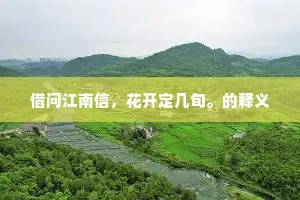 借问江南信，花开定几旬。的释义