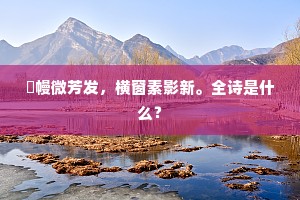 捲幔微芳发，横窗素影新。全诗是什么？