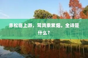 赤松临上游，驾鸿乘紫烟。全诗是什么？