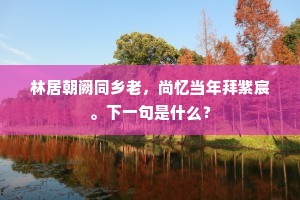 林居朝阙同乡老，尚忆当年拜紫宸。下一句是什么？