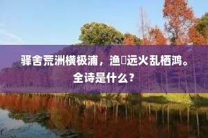 驿舍荒洲横极浦，渔舠远火乱栖鸿。全诗是什么？