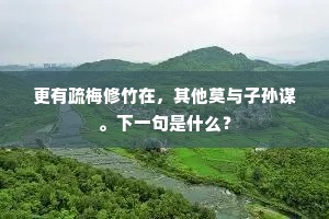 更有疏梅修竹在，其他莫与子孙谋。下一句是什么？
