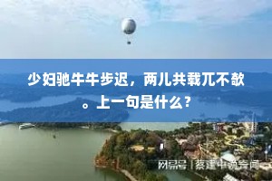 少妇驰牛牛步迟，两儿共载兀不欹。上一句是什么？
