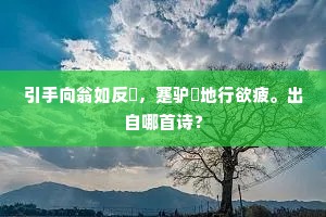 引手向翁如反僛，蹇驴嘷地行欲疲。出自哪首诗？