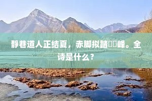 静巷道人正结夏，赤脚拟踏崚嶒峰。全诗是什么？