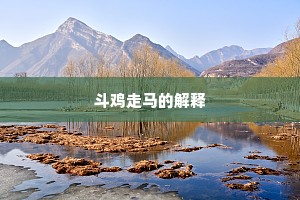 斗鸡走马的解释