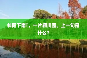 斜阳下南垞，一片辋川图。上一句是什么？