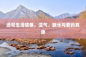 透视生活镜像，湿气、缺水与爱的真谛