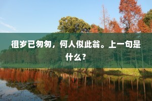 徂岁已匆匆，何人似此翁。上一句是什么？