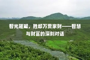 智光璀璨，胜却万贯家财——智慧与财富的深刻对话