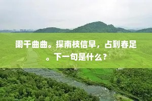 阑干曲曲。探南枝信早，占到春足。下一句是什么？