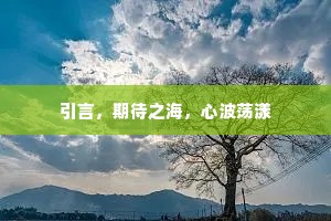 引言，期待之海，心波荡漾