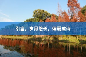 引言，岁月悠长，偏爱成诗