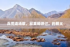 兵荒道场歇，寂寞稀游过。的释义