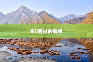 东挦西扯的解释