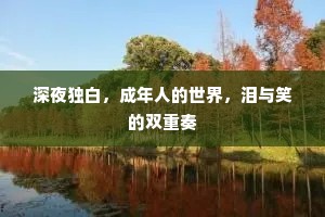 深夜独白，成年人的世界，泪与笑的双重奏