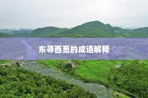 东寻西觅的成语解释