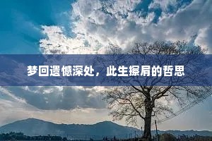 梦回遗憾深处，此生擦肩的哲思