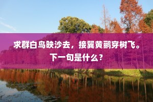 求群白鸟映沙去，接翼黄鹂穿树飞。下一句是什么？
