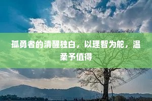 孤勇者的清醒独白，以理智为舵，温柔予值得