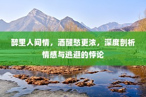 醉里人间情，酒醒愁更浓，深度剖析情感与逃避的悖论