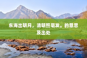 东海出明月，清明照毫发。的意思及出处