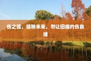 伤之镜，错映未来，勿让旧痛灼伤良缘