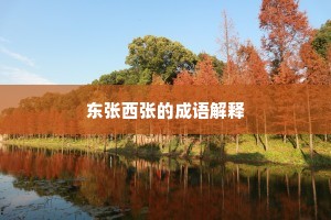 东张西张的成语解释