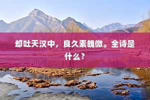 却吐天汉中，良久素魄微。全诗是什么？