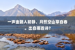 一声金磬人初静，月照空山草自春。出自哪首诗？