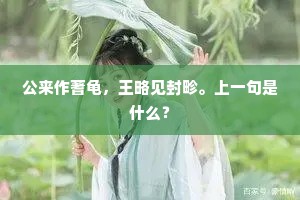 公来作蓍龟，王略见封畛。上一句是什么？