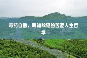 毒药自酿，明知故犯的苦涩人生哲学