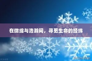 在微缩与浩瀚间，寻觅生命的经纬