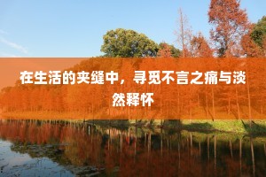 在生活的夹缝中，寻觅不言之痛与淡然释怀
