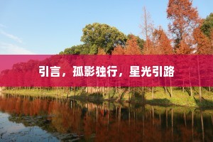 引言，孤影独行，星光引路