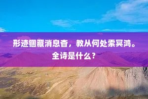 形迹锢藏消息杳，教从何处索冥鸿。全诗是什么？